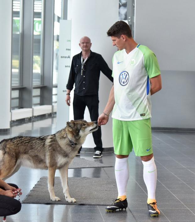 Mario Gomez With Wolf