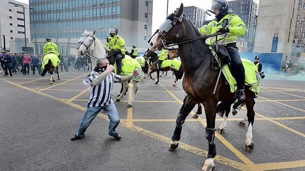 Newcastle United fan punches a horse