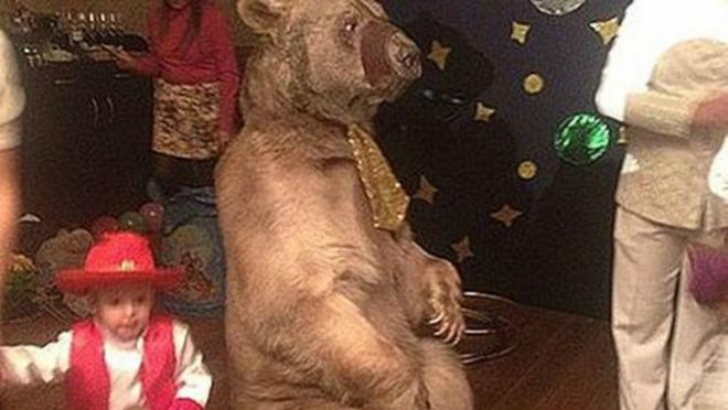 Russian Player Hires Live Bear For Son's Birthday Party