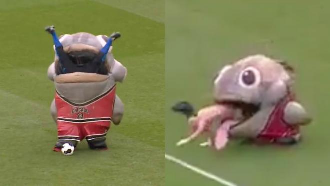 Fish eats goalkeeping coach