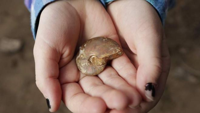 Girl finds fossil on soccer field