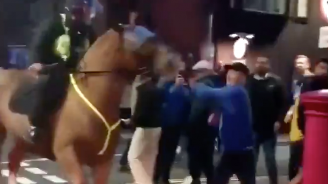 Portsmouth Fan Punches Police Horse