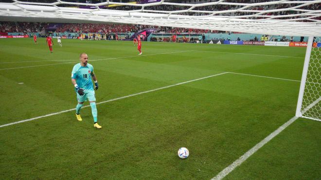 Milan Borjan howler