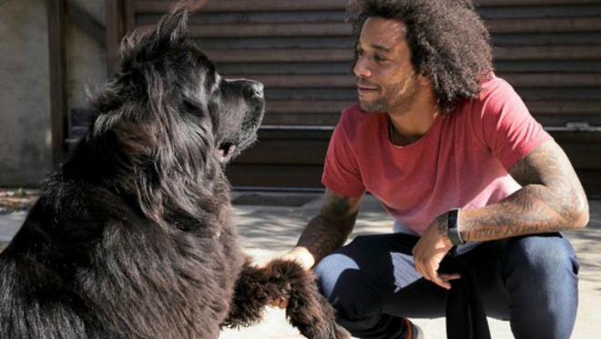 Marcelo and his dog Lola
