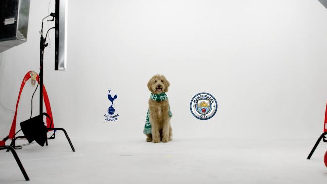 Chewie The Match Predicting Dog Manchester City vs Tottenham