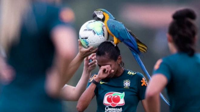 Macaw Lands On Bruna Benites During Brazil Women's Practice