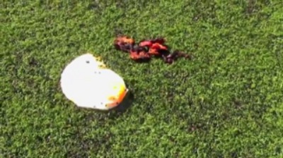 An Open Letter To FIFA - Eggs and Bacon Frying On Turf