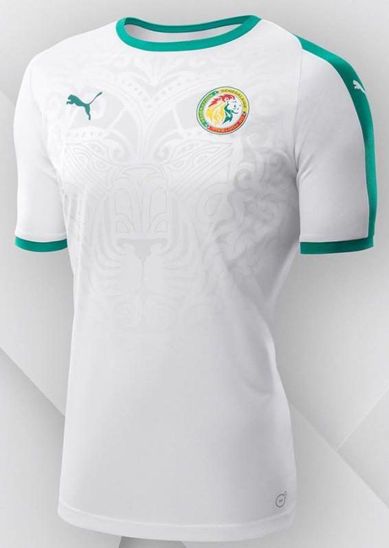 Which World Cup Tea Should I Support? - Senegal Kit